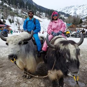 Two people in pink clothing riding a yak in snow