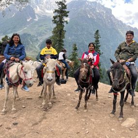 Four people sitting on horses along a rocky trail